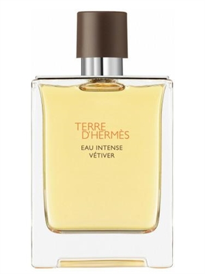 HERMES Terre D'Hermès Eau Intense Vétiver Eau de Parfum 100 ml