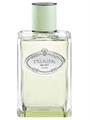 PRADA Infusion D'Iris Eau de Parfum 100 ml