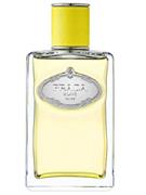 PRADA Infusion D'Ylang Eau de Parfum 100 ml