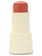 PUROBIO Twist & Go Stick Viso Blush